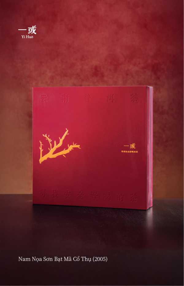 Nam Nọa Sơn Bạt Mã Cổ Thụ 2005 - 50g