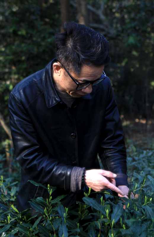 NIỀM VUI ĐI TÌM TRÀ SẠCH,THƠM NGON